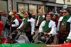 2026_Faschingszug_Wuerzburg-095