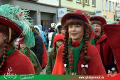 2026_Faschingszug_Wuerzburg-097