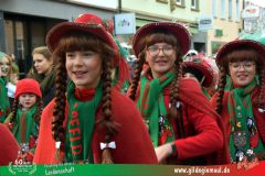 2026_Faschingszug_Wuerzburg-098