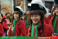 2026_Faschingszug_Wuerzburg-100