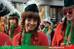 2026_Faschingszug_Wuerzburg-101