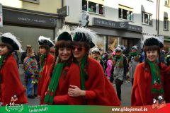 2026_Faschingszug_Wuerzburg-102