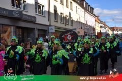 2026_Faschingszug_Wuerzburg-104