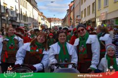 2026_Faschingszug_Wuerzburg-105