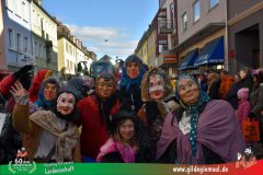 2026_Faschingszug_Wuerzburg-110