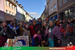 2026_Faschingszug_Wuerzburg-111