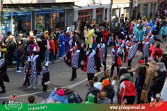 2026_Faschingszug_Wuerzburg-116