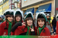 2026_Faschingszug_Wuerzburg-129