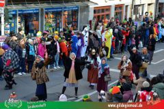 2026_Faschingszug_Wuerzburg-136