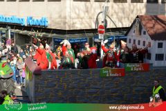 2026_Faschingszug_Wuerzburg-141