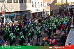 2026_Faschingszug_Wuerzburg-149