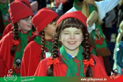 2026_Faschingszug_Wuerzburg-160