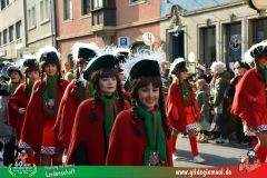 2026_Faschingszug_Wuerzburg-164
