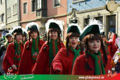 2026_Faschingszug_Wuerzburg-165