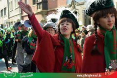 2026_Faschingszug_Wuerzburg-166