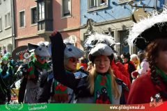 2026_Faschingszug_Wuerzburg-167