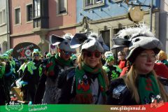 2026_Faschingszug_Wuerzburg-168