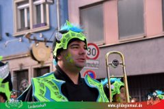 2026_Faschingszug_Wuerzburg-172