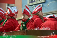 2026_Faschingszug_Wuerzburg-195