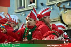 2026_Faschingszug_Wuerzburg-196