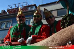 2026_Faschingszug_Wuerzburg-201
