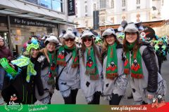2026_Faschingszug_Wuerzburg-209