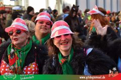 2026_Faschingszug_Wuerzburg-225