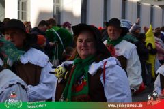 2026_Faschingszug_Wuerzburg-231