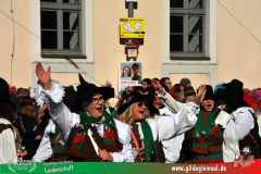 2026_Faschingszug_Wuerzburg-241