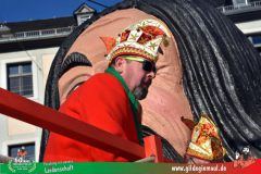 2026_Faschingszug_Wuerzburg-248