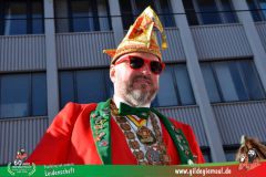 2026_Faschingszug_Wuerzburg-250