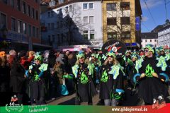 2026_Faschingszug_Wuerzburg-251