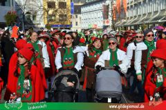 2026_Faschingszug_Wuerzburg-261