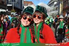 2026_Faschingszug_Wuerzburg-274