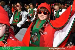 2026_Faschingszug_Wuerzburg-275