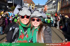 2026_Faschingszug_Wuerzburg-278