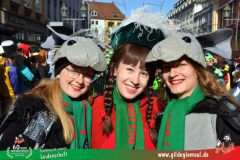 2026_Faschingszug_Wuerzburg-280