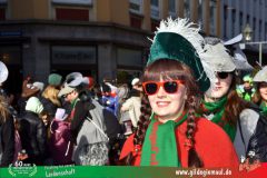 2026_Faschingszug_Wuerzburg-282