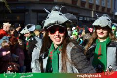 2026_Faschingszug_Wuerzburg-284