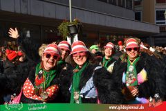 2026_Faschingszug_Wuerzburg-288