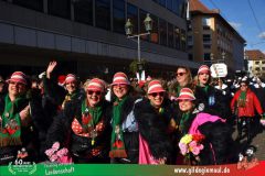 2026_Faschingszug_Wuerzburg-289