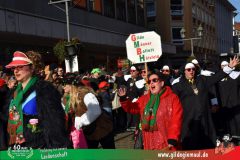 2026_Faschingszug_Wuerzburg-290