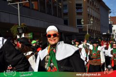 2026_Faschingszug_Wuerzburg-292