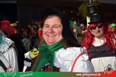 2026_Faschingszug_Wuerzburg-293