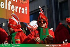 2026_Faschingszug_Wuerzburg-297