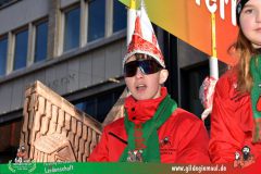 2026_Faschingszug_Wuerzburg-299