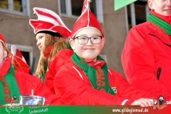 2026_Faschingszug_Wuerzburg-318