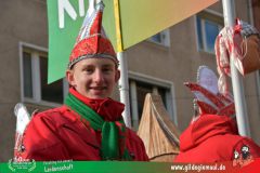 2026_Faschingszug_Wuerzburg-319