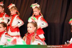 Familienfasching_HL_Familie-024