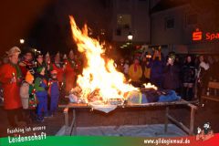 Faschingsbberdigung-024